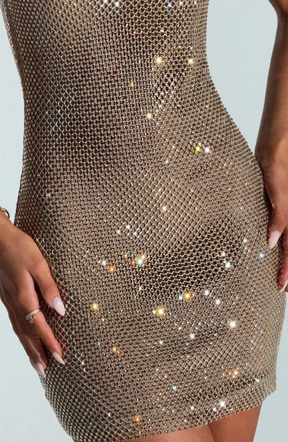 Bodycon Mesh Mini Dress