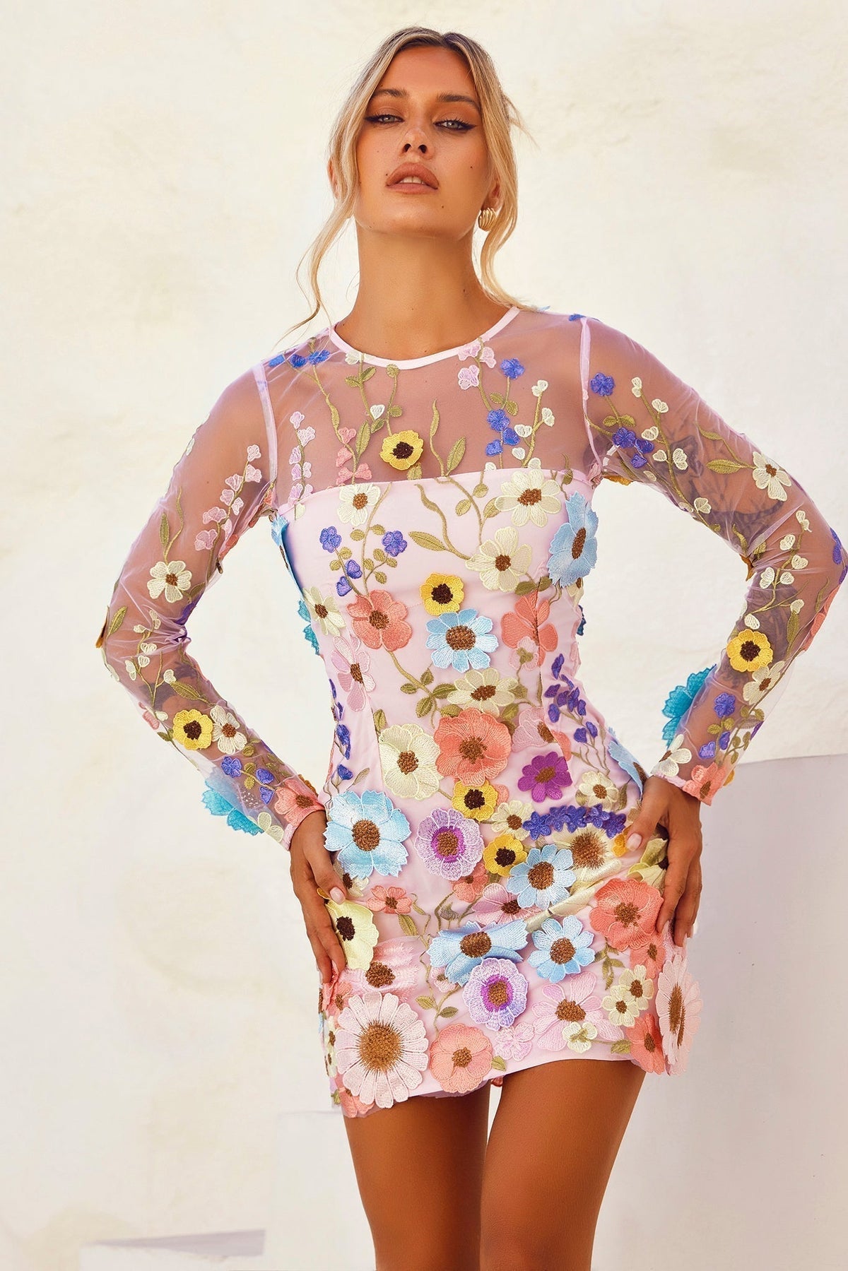 Women's Floral Applique Long Sleeve Mini Dress - Blush Floral